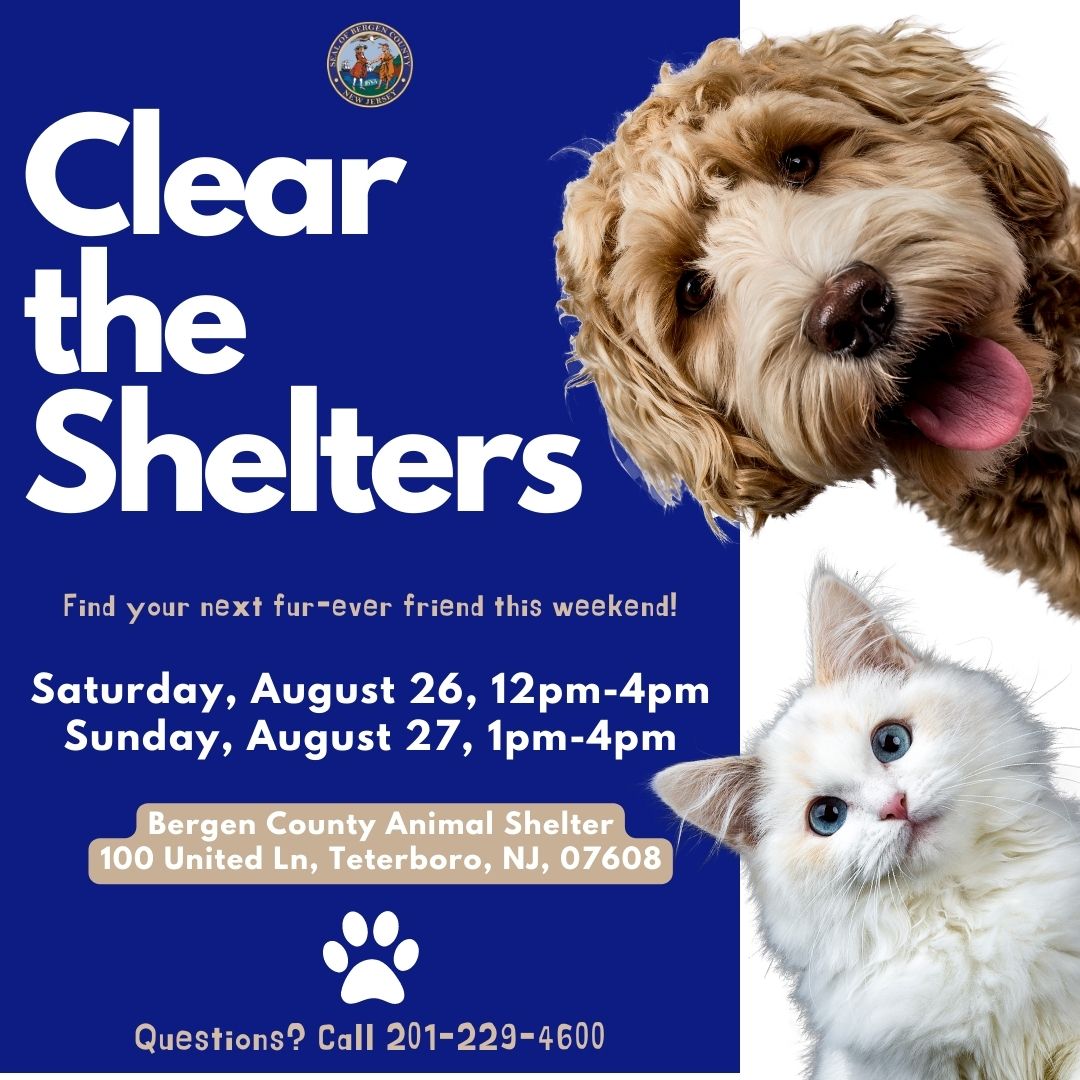 Clear the Shelters