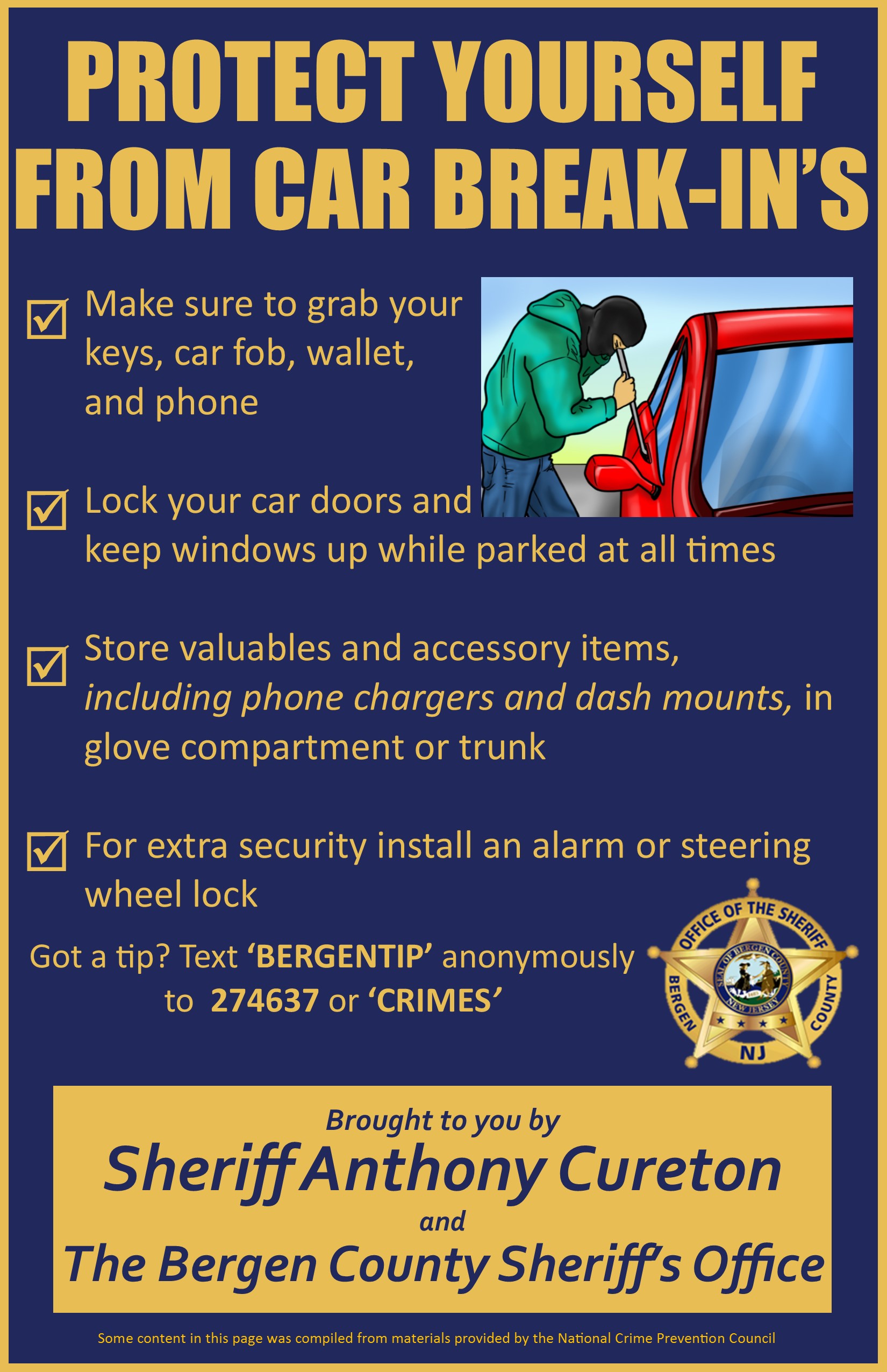 BCSO Car Break Ins Final